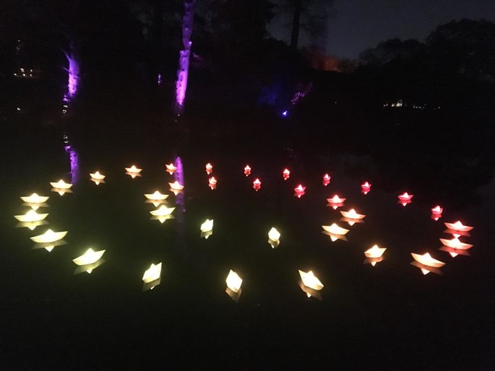 Origami lights float on the lake.