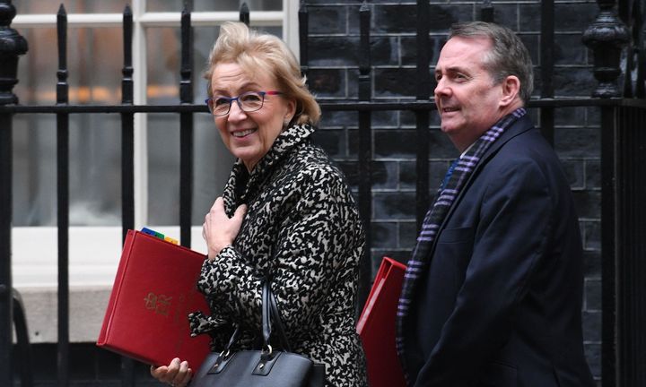 Andrea Leadsom and Liam Fox arrive for Cabinet