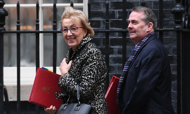 Andrea Leadsom and Liam Fox arrive for Cabinet