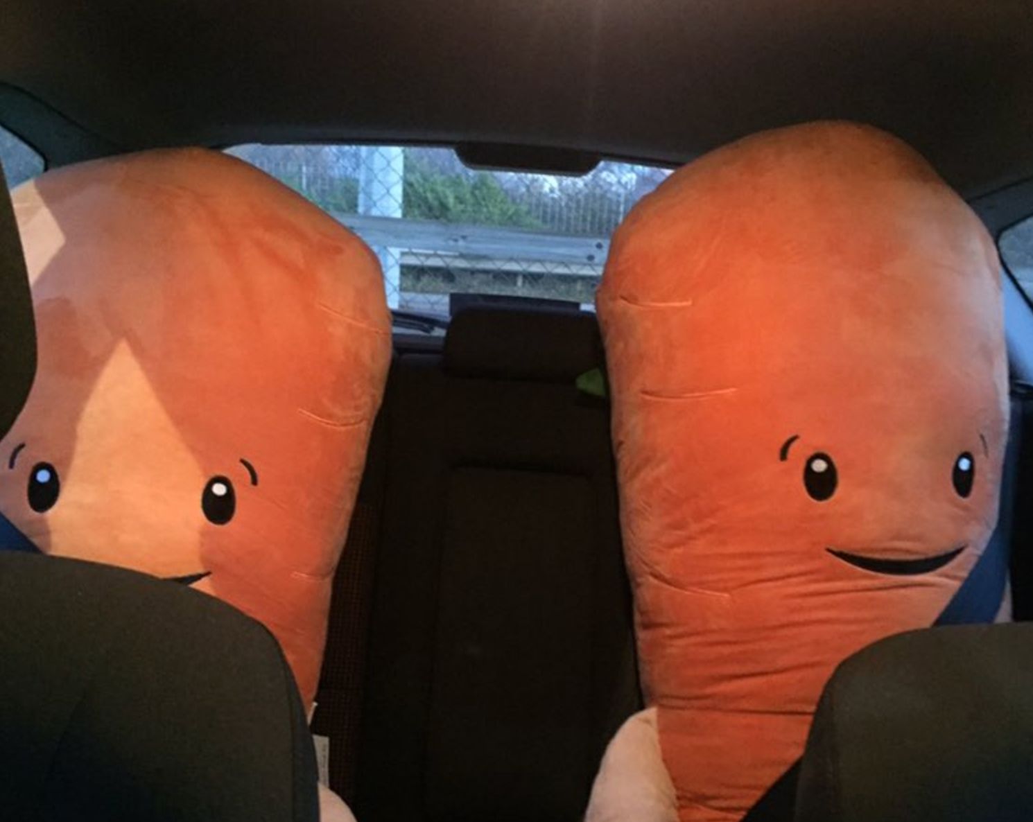 giant kevin the carrot teddy