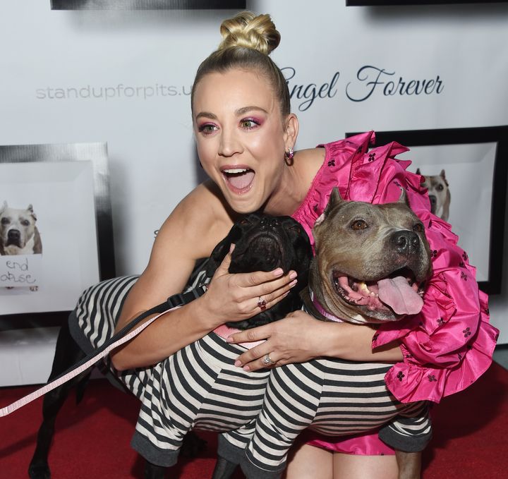 Kaley Cuoco, pictured at the 8th Annual Stand Up for Pits event at the Hollywood Improv Comedy Club, is known for supporting animal advocacy causes.