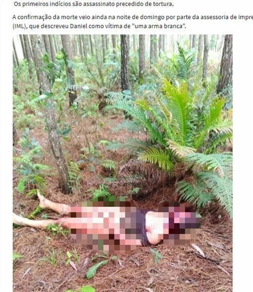 Bilder vom Fundort der Leiche. Die Genitalien des Sportlers wurden einige Meter entfernt in einem Baum gefunden.