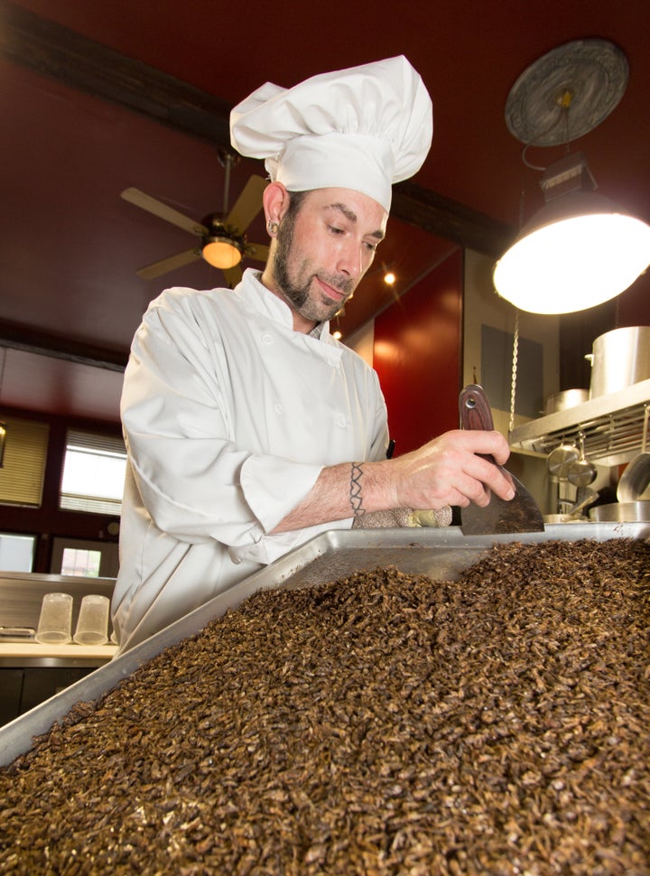 A chef at Entomo Farms prepares a batch of crickets for his next recipe.