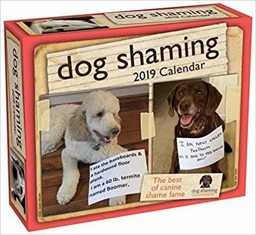 A calendar so funny they’ll want to roll over barking with laughter.