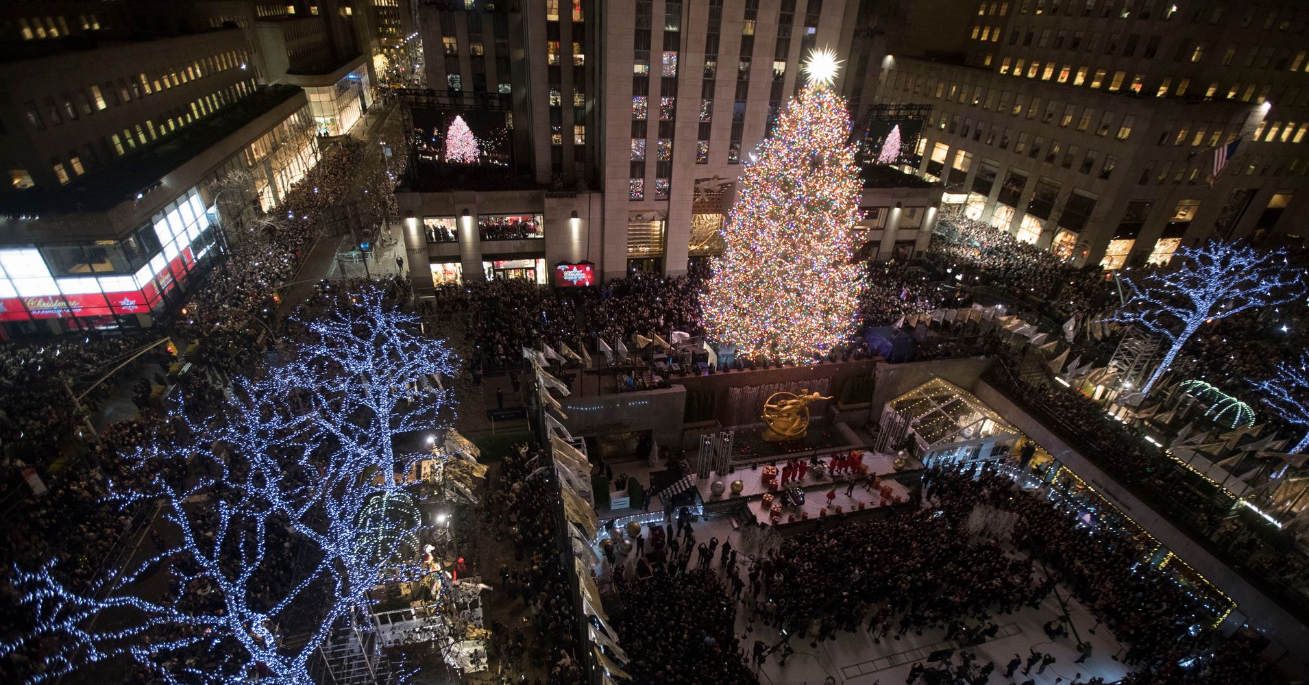 The Beautiful Story Of Shelby, This Year's Rockefeller Center Christmas Tree | HuffPost