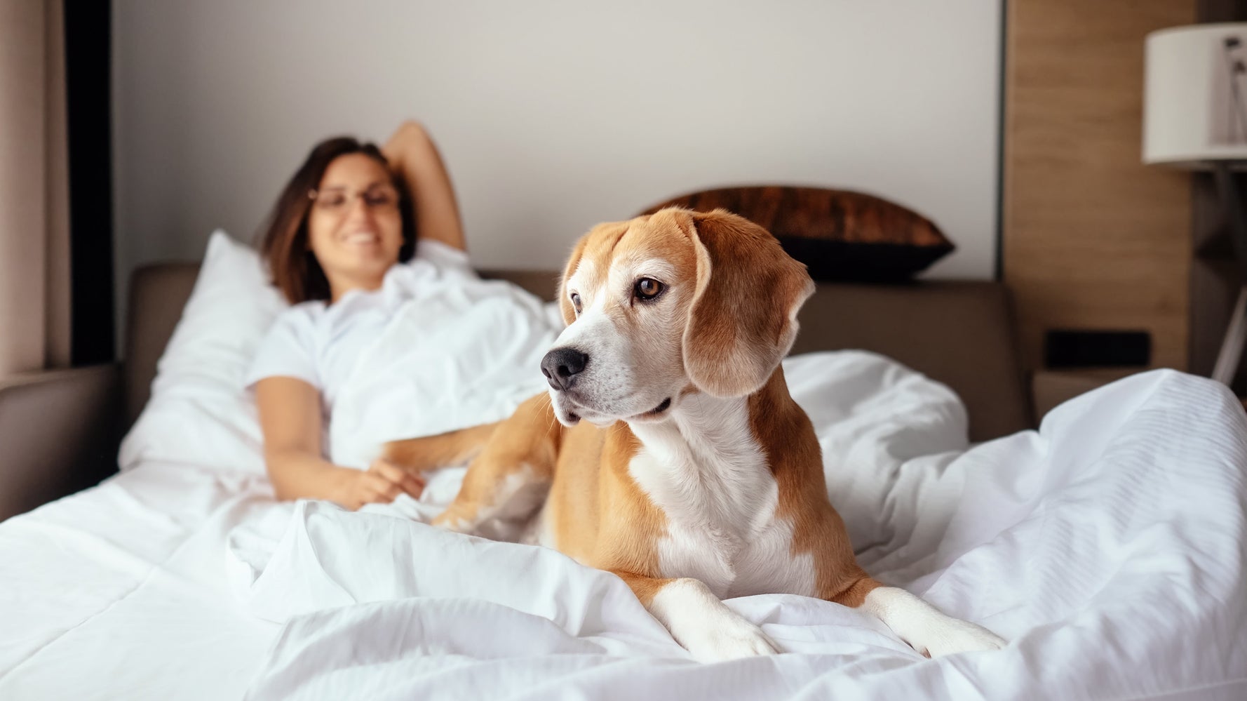 Women Sleep Better With Dogs Than With Human Partners Study Says