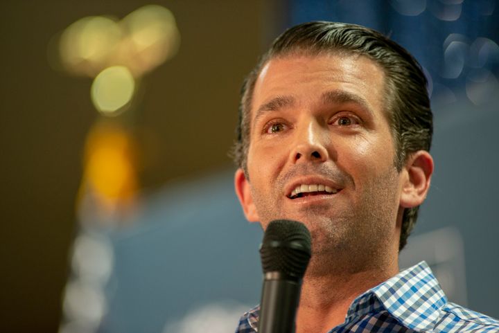 Donald Trump Jr.'s claims that he knew little about Russian talks seem inconsistent with Michael Cohen's latest plea agreement.