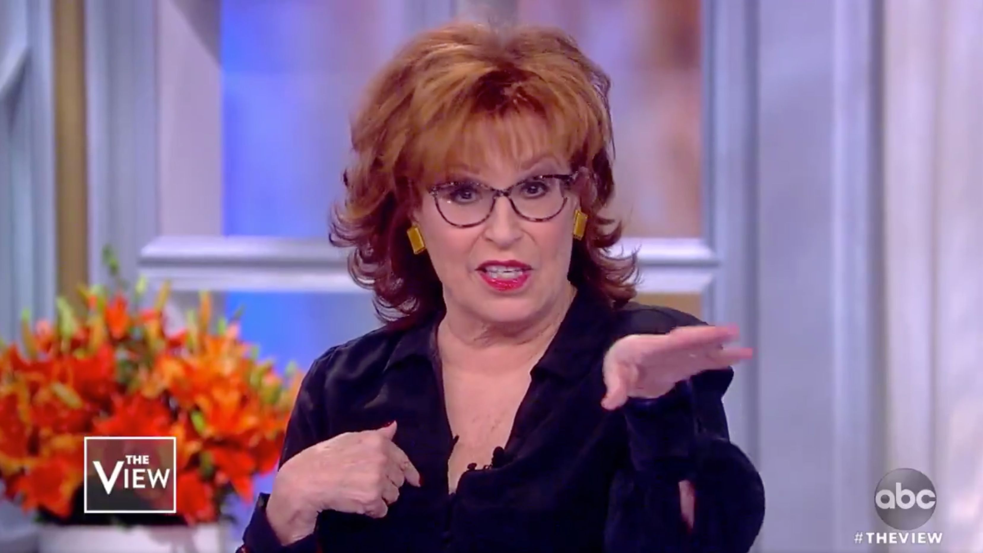 Joy Behar Delivers Perfect Response After Kid Rock Calls Her A "B***h ...