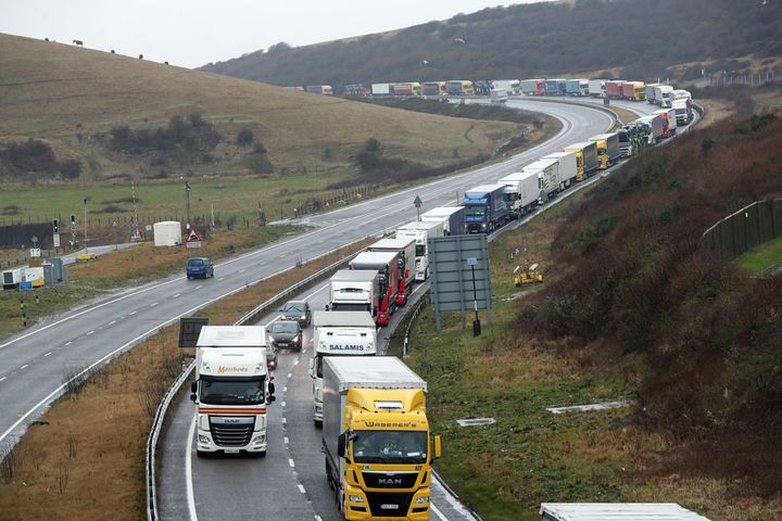 Opponents of 'no deal' fear lengthy lorry delays at ports like Dover