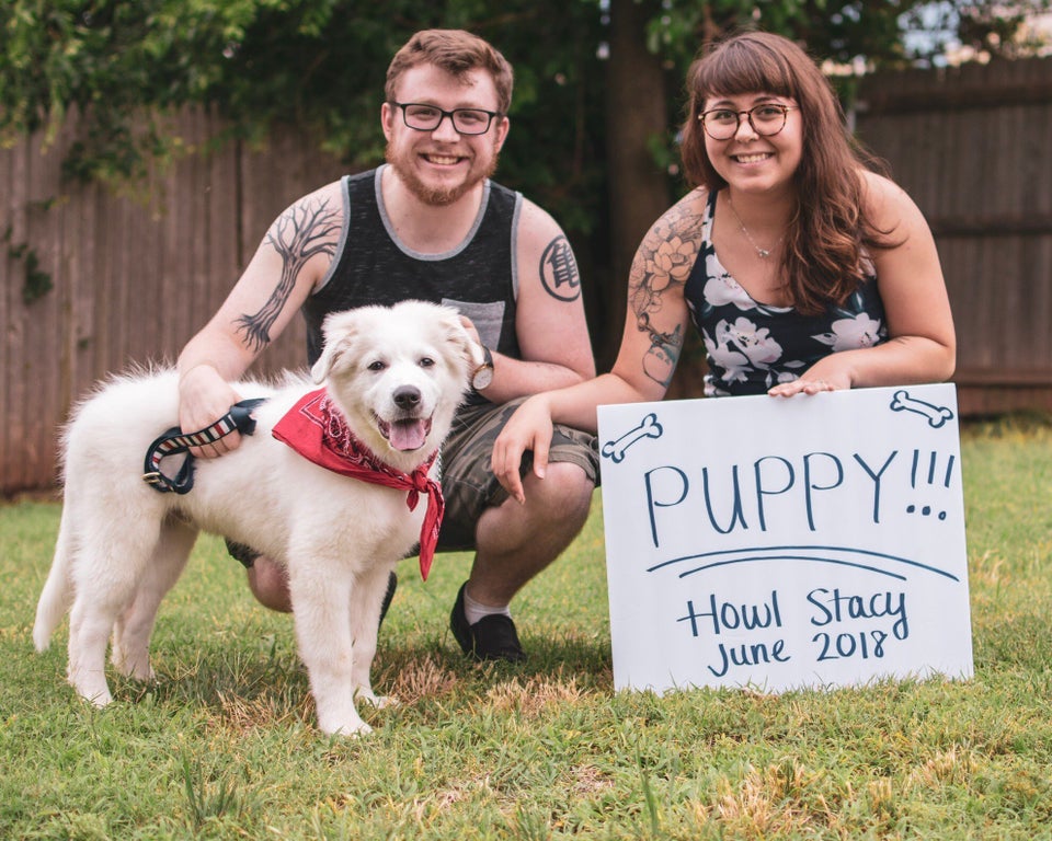 15 Dog Reveals That Are Cuter Than Gender Reveal Parties Huffpost Life