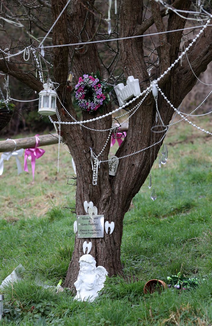 A memorial tree to Karen Hadaway and Nicola Fellows in Wild Park in Brighton, East Sussex, where their bodies where found 