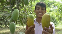 India Is Best Poised For A 'Fruit Circular
