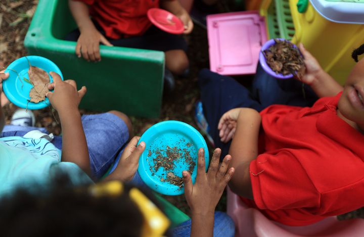 Children often play with dirt, but if the soil is lead-contaminated this can be a hazard to their health. A study in Illinois plans to look at early intervention services for lead-exposed children.