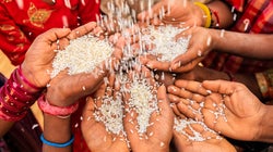 How Volunteerism Has Been A Transformative Tool In