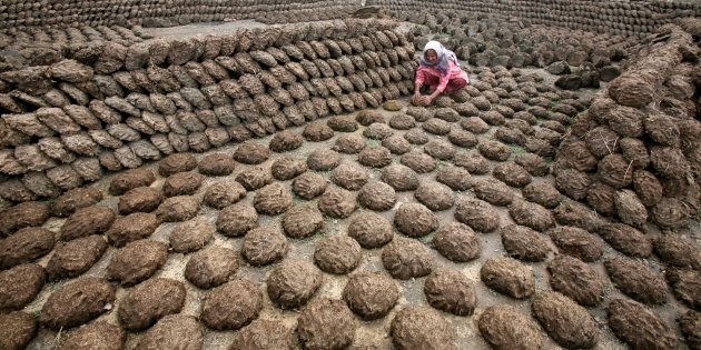 A woman makes cow dung cakes at Bahlolpur village in the northern Indian state of Punjab February 10, 2010. REUTERS/Ajay Verma (INDIA - Tags: SOCIETY)