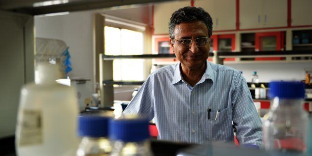 In this photograph taken on November 6, 2014, Indian researcher Deepak Pental poses in his laboratory at the genetics department of Delhi University in New Delhi.