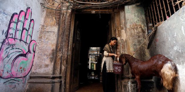 A woman gives water to a goat at her house after purchasing it at a livestock market on the eve of the Eid ul Azha festival in Kolkata, India September 12, 2016. REUTERS/Rupak De Chowdhuri