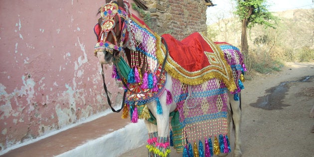 Decorated Horse