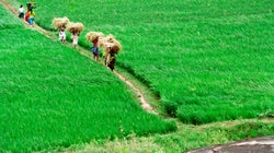 60 Years On, Kerala Remains Indebted To Its First