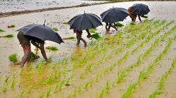 How Experimental Economics Could Help Solve The Farmers’