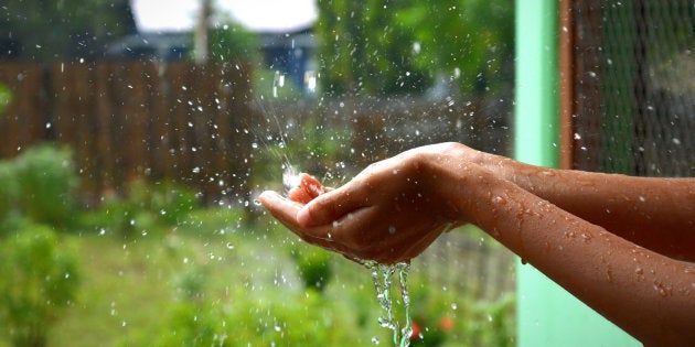 India Will Have Normal Monsoon Fair Distribution Of Rain Across The Country Predicts IMD 