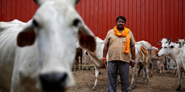 Digvijay Nath Tiwari, the commander of a Hindu nationalist vigilante group established to protect cows, is pictured with animals he claimed to have saved from slaughter, in Agra.