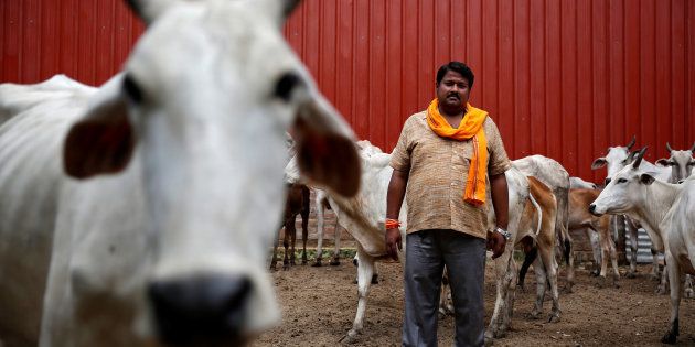 Digvijay Nath Tiwari, the commander of a Hindu nationalist vigilante group established to protect cows, is pictured with animals he claimed to have saved from slaughter, in Agra on August 8, 2016. REUTERS/Cathal McNaughton