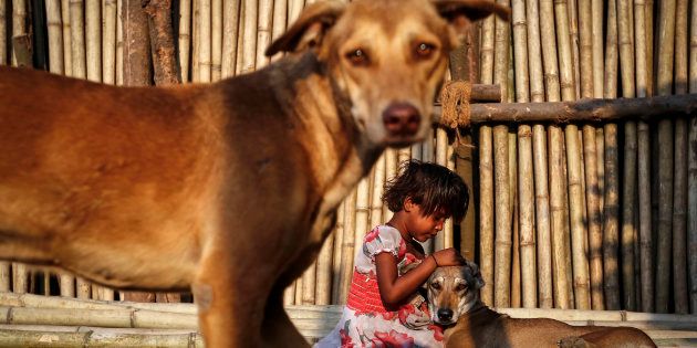 Shazia, a six year-old-girl, plays with street dogs on bamboo sticks at a timber market in Mumbai March 13, 2014. REUTERS/Danish Siddiqui (INDIA - Tags: SOCIETY ANIMALS TPX IMAGES OF THE DAY)