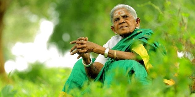 Image result for padasree thimmakka