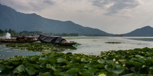 SRINAGAR, KASHMIR, INDIA - SEPTEMBER 7: Boats are moored to the bank of deserted Dal lake on September 7, 2017 in Srinagar, the summer capital of Indian administered Kashmir, India.