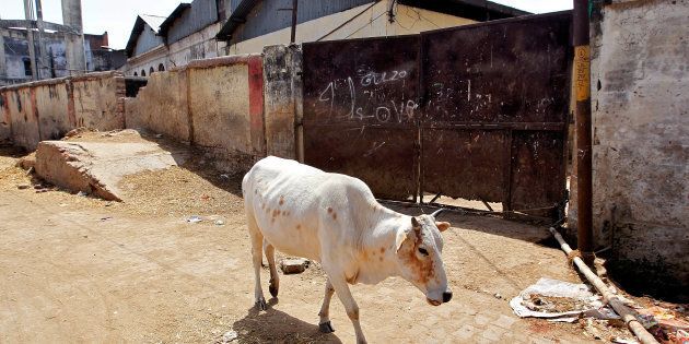 A cow walks past a closed slaughterhouse in Allahabad, India March 28, 2017. REUTERS/Jitendra Prakash