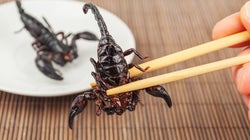 Save The Planet; Eat An
