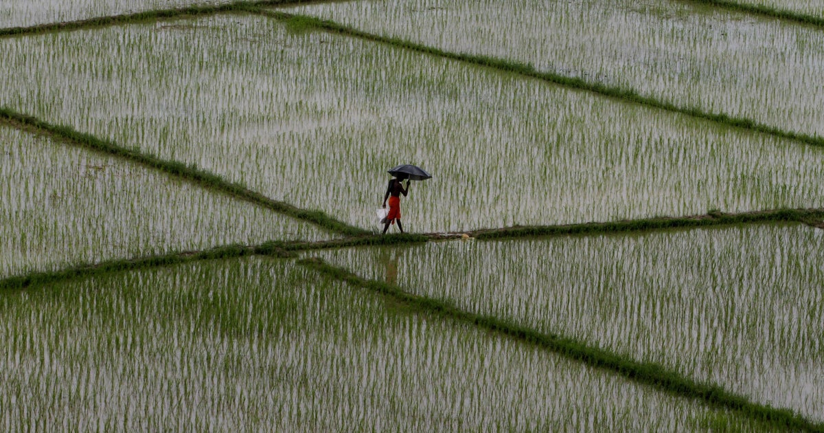 India May Face Weak Monsoon In 2017, Thanks To The El-Nino Effect ...