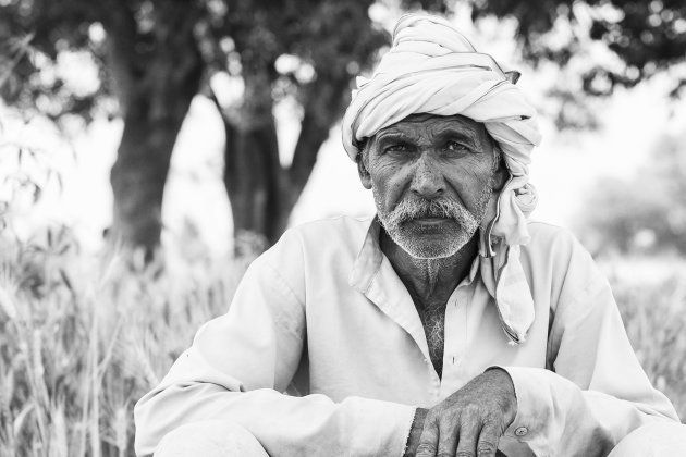 Puttulal, another Dalit farmer in Nizampur, sits at the edge of his small farmland. All his crops are dead because the Thakurs cut off his water supply.