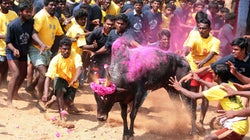 I’m A Proud Tamizhan And I’m Against