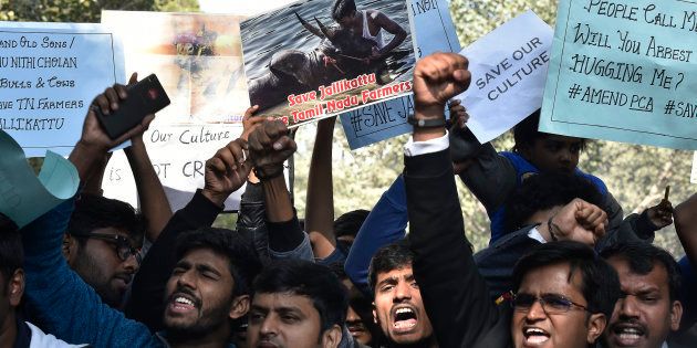 Jallikattu supporters during the protest March against Jallikattu ban at Jantar-Mantar on January 19, 2017 in New Delhi, India.