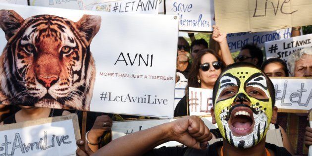 NEW DELHI, INDIA - OCTOBER 14: Activists from different animal organizations protest to save a six-year-old tigress named Avni, who the Maharashtra government has ordered for shoot at sight, at Connaught Place, on October 14, 2018 in New Delhi, India. (Photo by Arvind Yadav/Hindustan Times via Getty Images)