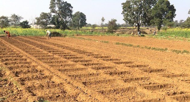 Farmers preparing a small field to grow vegetables in Jharkhand