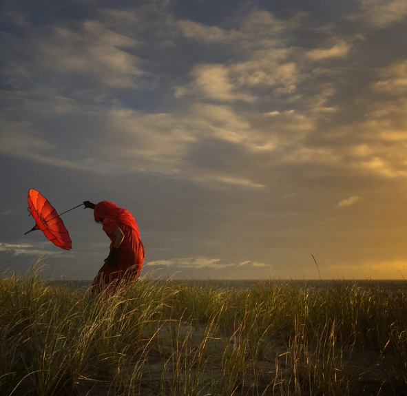 Robin Robertis (Carlsbad CA, United States). 2nd Place, Photographer of the Year