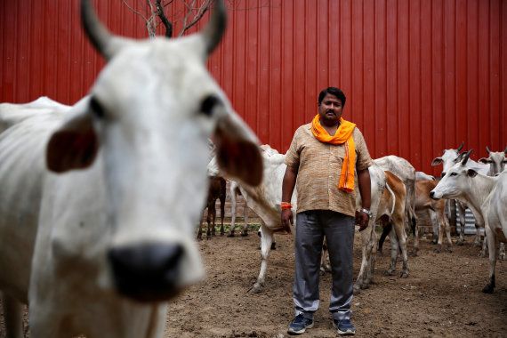 Digvijay Nath Tiwari, the commander of a Hindu nationalist vigilante group established to protect cows, is pictured with animals he claimed to have saved from slaughter, in Agra, India August 8, 2016.