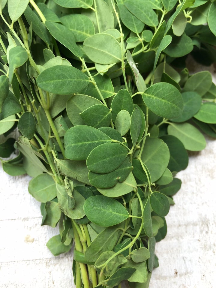 Drumstick / Moringa Leaves