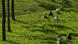 12 Hill Stations Near Bengaluru That Kids Will Just Love