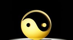 What Is Your Exercise Type -- Yin Or