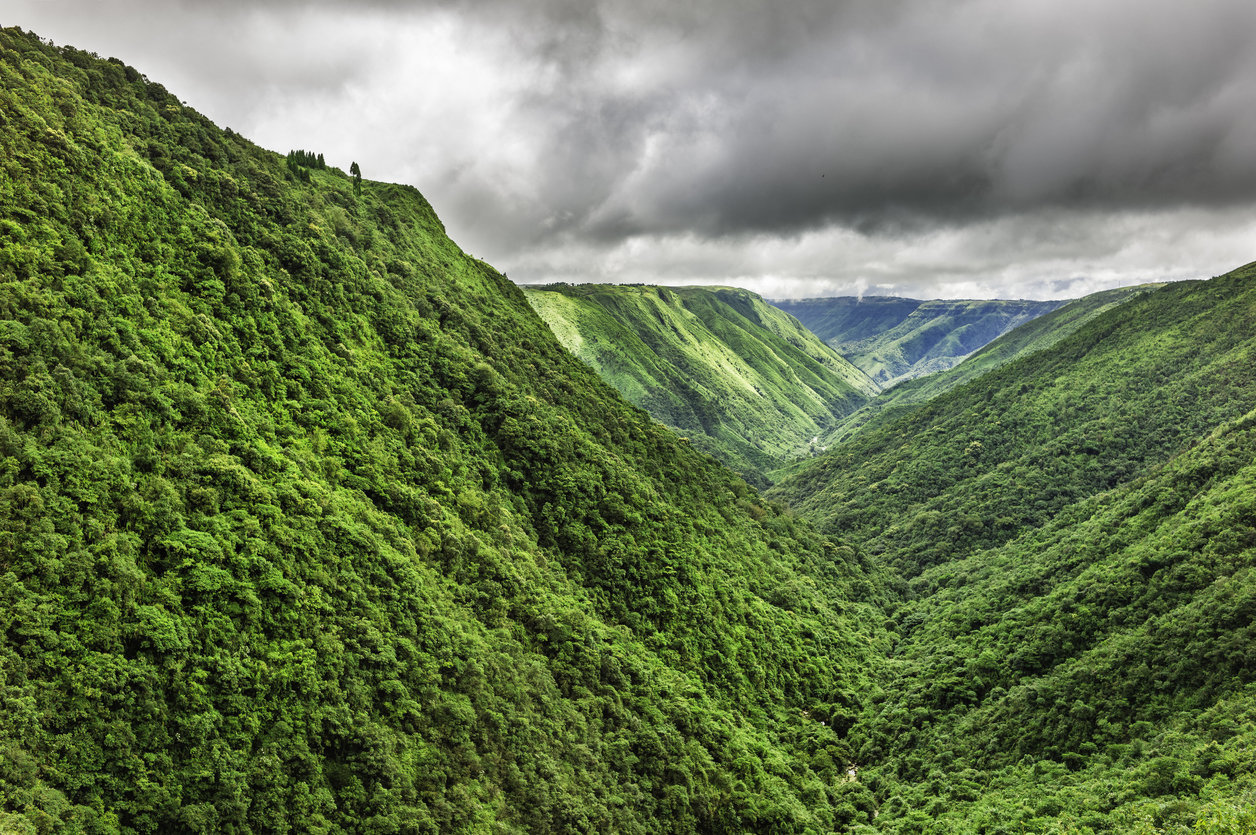 Meghalaya and Living Root Bridges – Lessons from the Cleanest Place in  India – Golisoda Store Blog