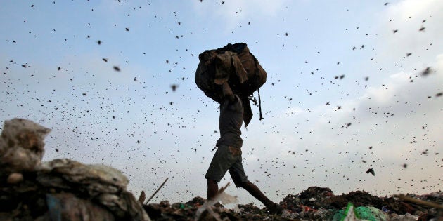 Insects and birds fly in a dump yard as a rag picker collects scraps in New Delhi.