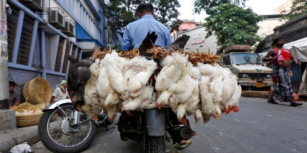 A man transports chickens on his motorbike at a roadside poultry market in Kolkata.