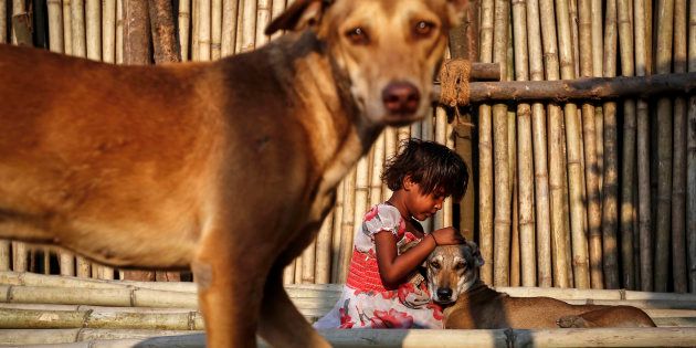 A six year-old-girl plays with street dogs on bamboo sticks at a timber market in Mumbai.