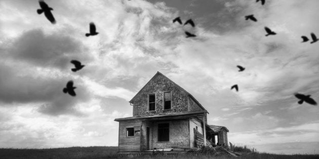 An abandoned farmhouse with murder of crows.