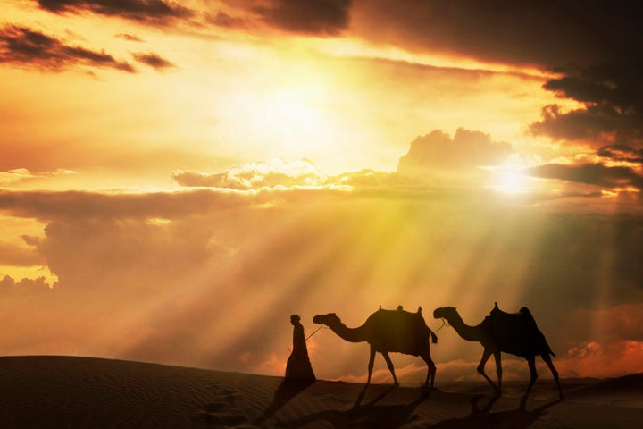 Arab man with camels at sunset