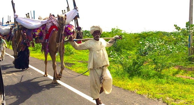 Rabaris on the move with their camels and belongings on the edge of a highway in Kachchh.